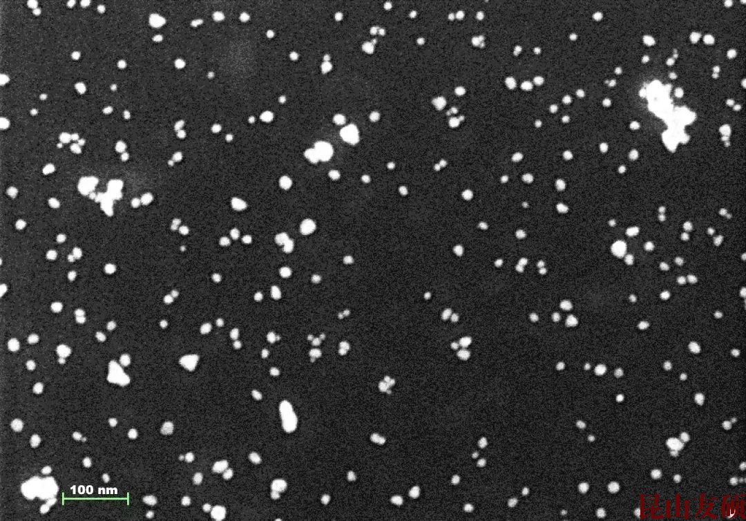 西青西青蔡司西青扫描电镜